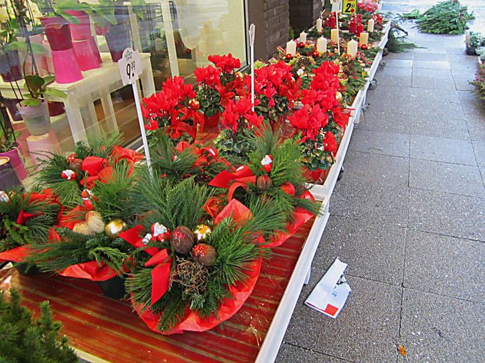 weihnachtliches Blumen Risse