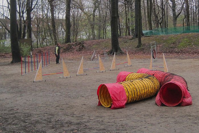 am Tag der offenen Tür_ Agility Parcour zum SChnuppern