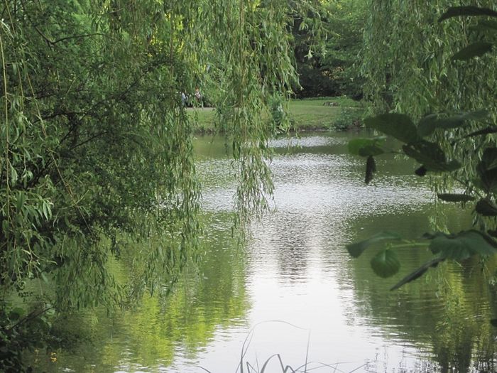 Der See zwischen den einzelnen Häusern der LWL Klinik