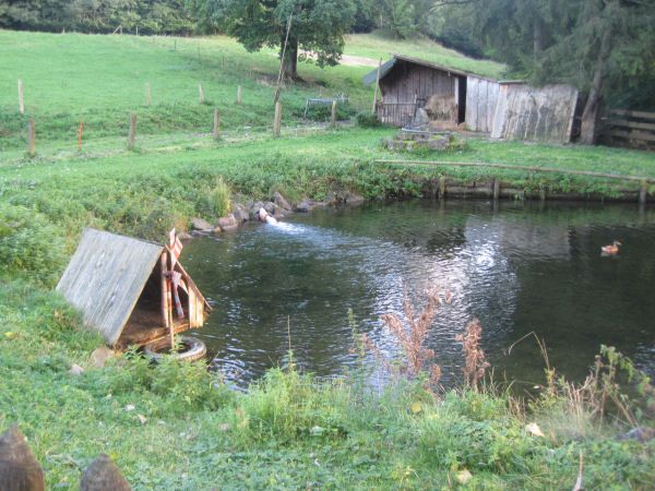 Nutzerbilder Mühlfelder Brauhaus