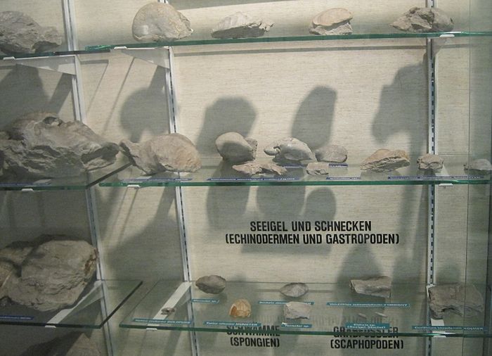 Nutzerbilder Heimat Museum