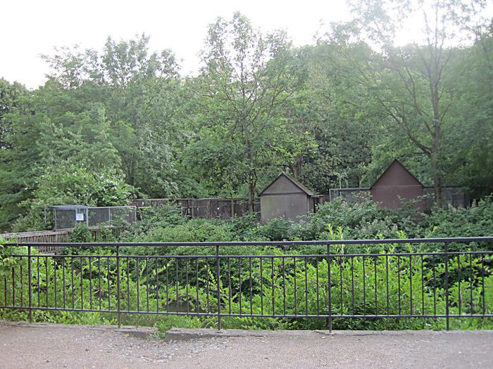 Nutzerbilder Restaurant und Biergarten auf Wasserschloss Wittringen