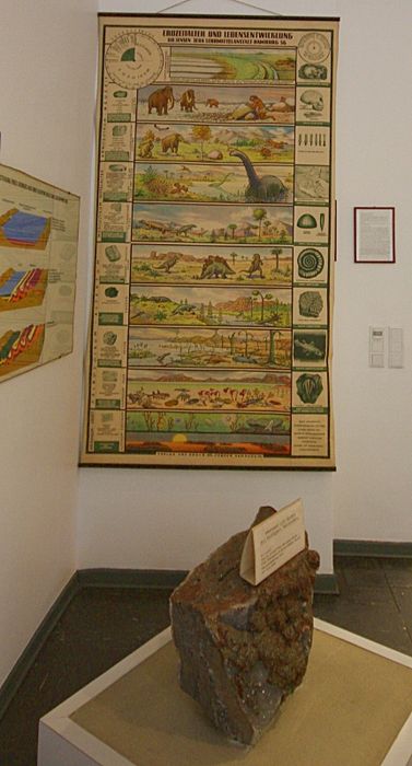 Nutzerbilder Heimat Museum