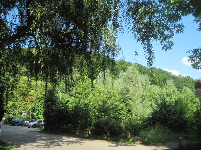 Der Wald vom Gysenberg ist Landschaftsschutzgebiet