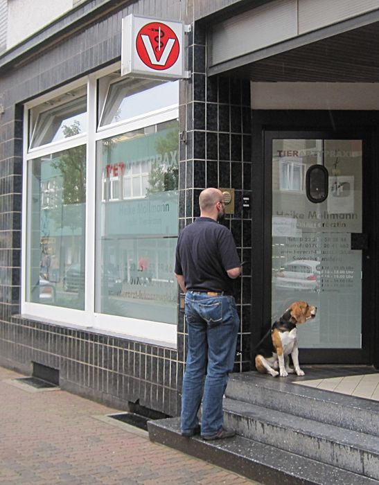 Tierarztpraxis auf der Wilhelmstr, der kleine wartet lautstark auf Frauchen, die noch bezahlen muß