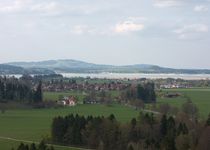 Bild zu Schloss Hohenschwangau