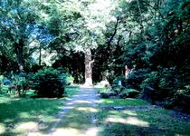 Bild zu Waldfriedhof Wanne-Eickel