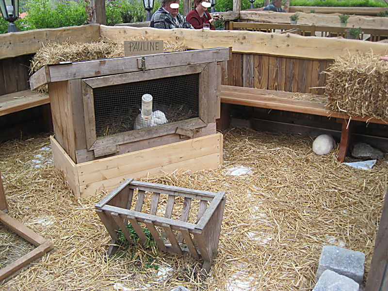 Kaninchenstall im Biergarten