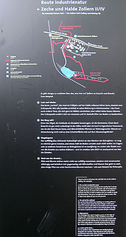 Bild 23 Regionalverband Ruhr in Essen