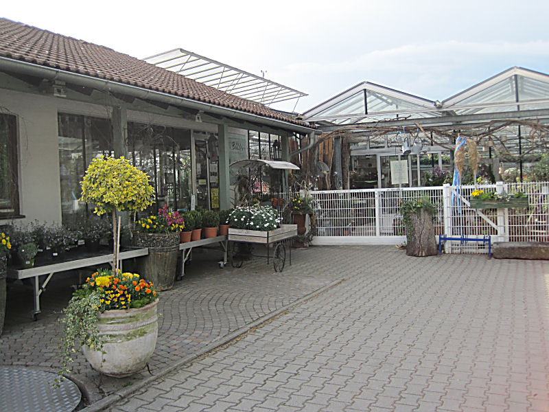 Blumen Bühler in Übersee am Chiemsee