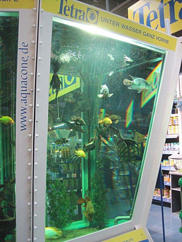 weltgrößtes, transportables Aquarium