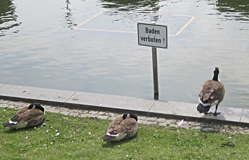 Auf der CentrO  Promenade - ob die lesen können?