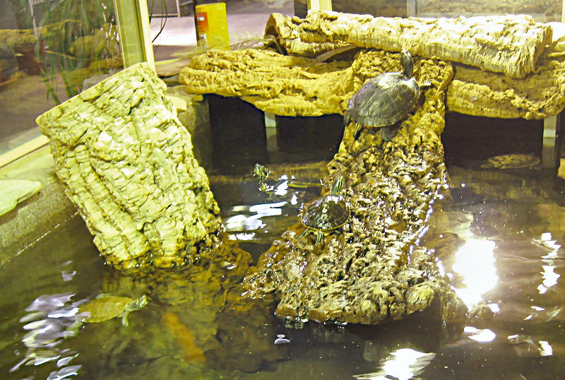 Zoo Zajac - Wasserschildkröten