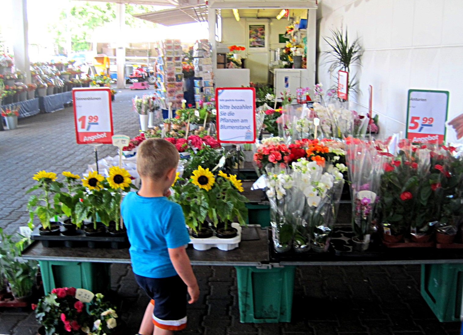 vor dem Real Markt - ob der Kleine seiner Mama Blumen kaufen möchte?