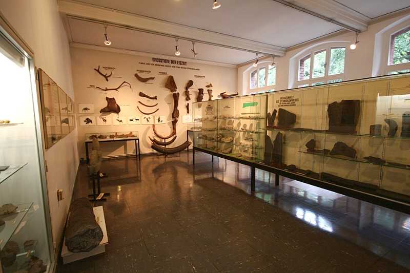 Heimatmuseum - Eiszeit