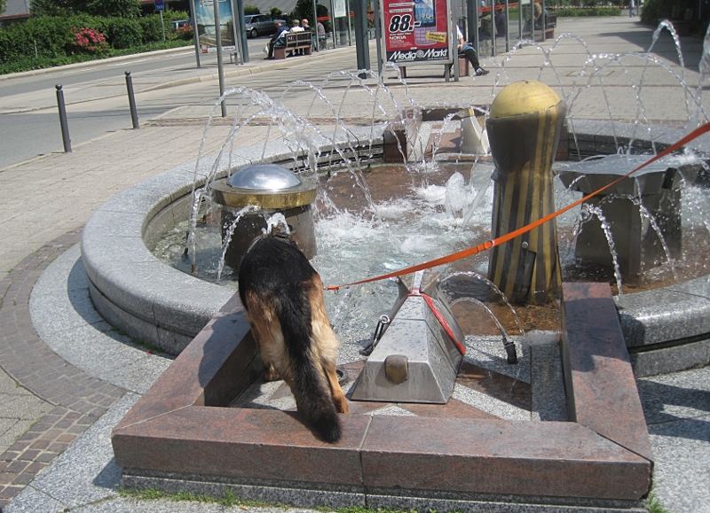 jede Menge Brunnen im Ruhrpark, schön anzusehen für Mensch und Tier