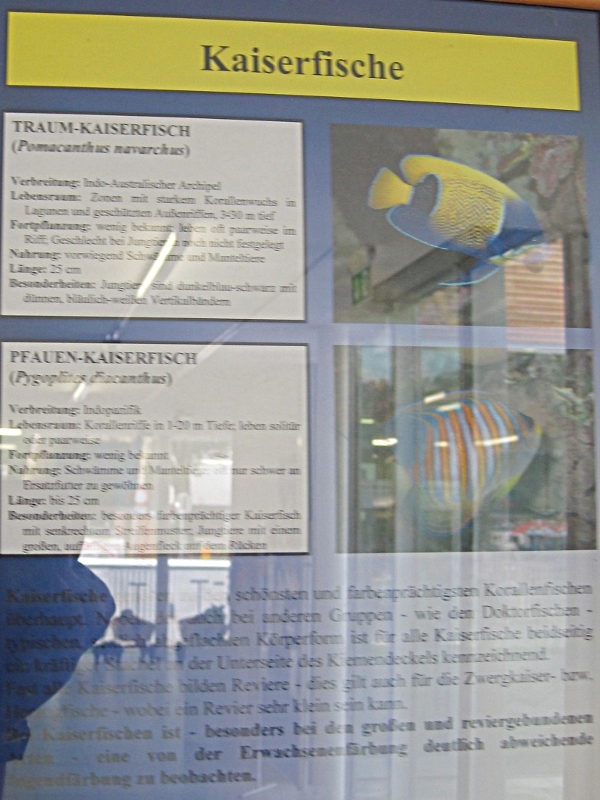 Tierpark Bochum alles genau beschrieben