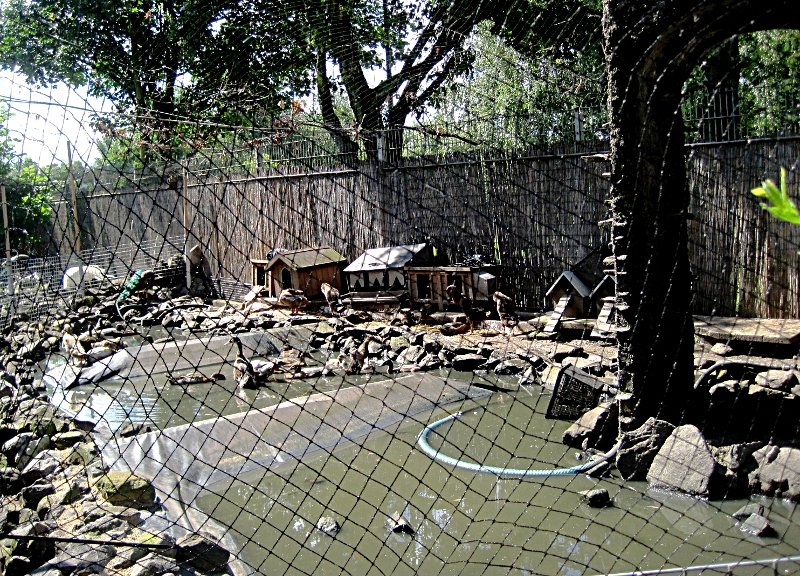 Zoo Zajac, eines der Vogelaußengehege