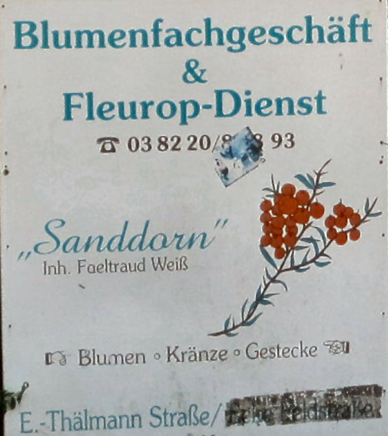 Blumen Sanddorn