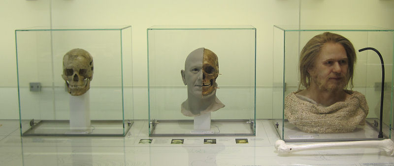 Nachbildung eines Kopfes aus einem Totensch&auml;del (Gesichtsrekonstruktion)