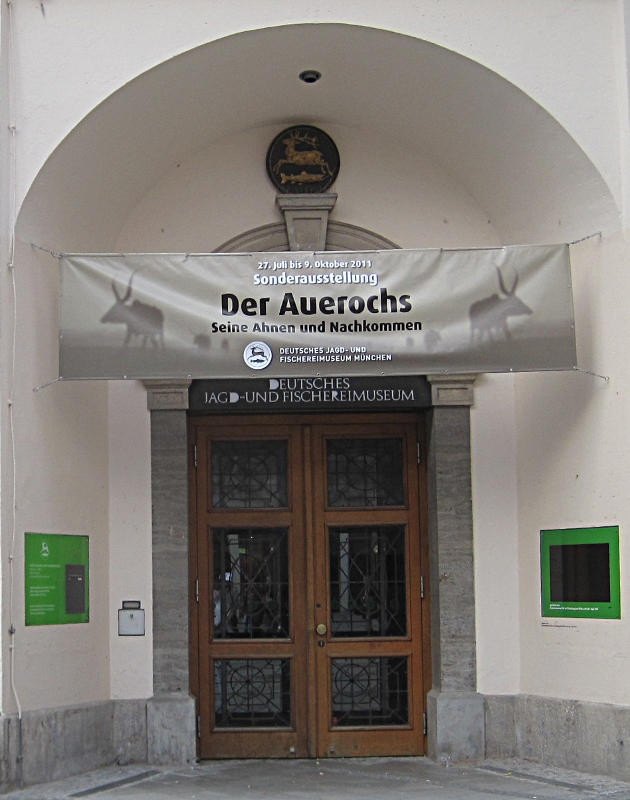 Deutsches Jagd- und Fischereimuseum - der Auerochse