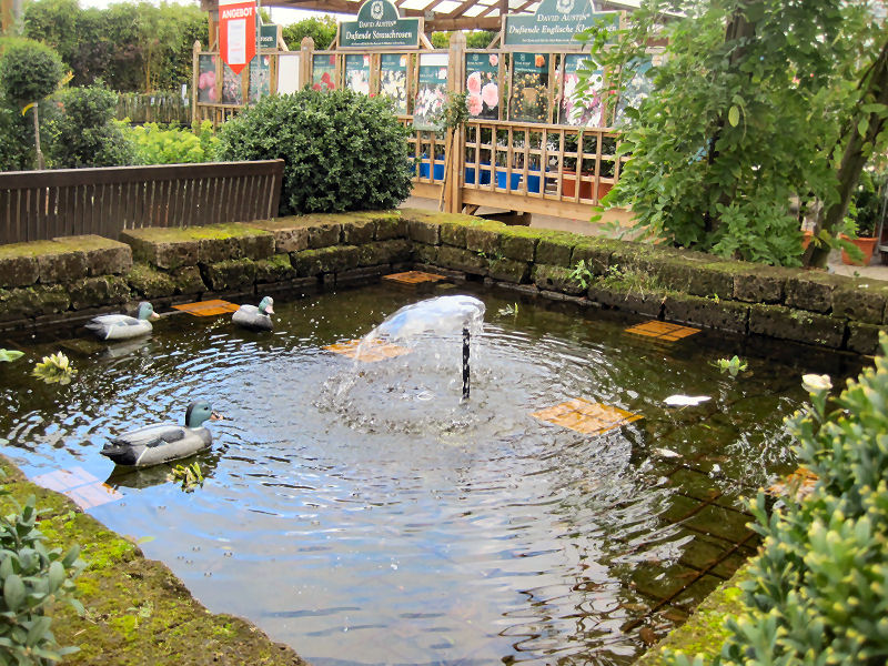 wunderschön - Gartencenter Augsburg