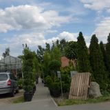Gartenbau & Gärtnerei Walter Großkopf in Adelsdorf in Mittelfranken