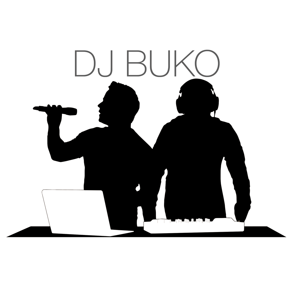 Bild 5 DJ BUKO in Hartenholm