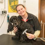 Hundefriseur und sitzt! in Bleckede