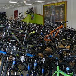 eine große Auswahl an Fahrrädern, E-Bikes und Zubehör auf mehr als 300qm