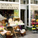Domus Botanicus in Bautzen