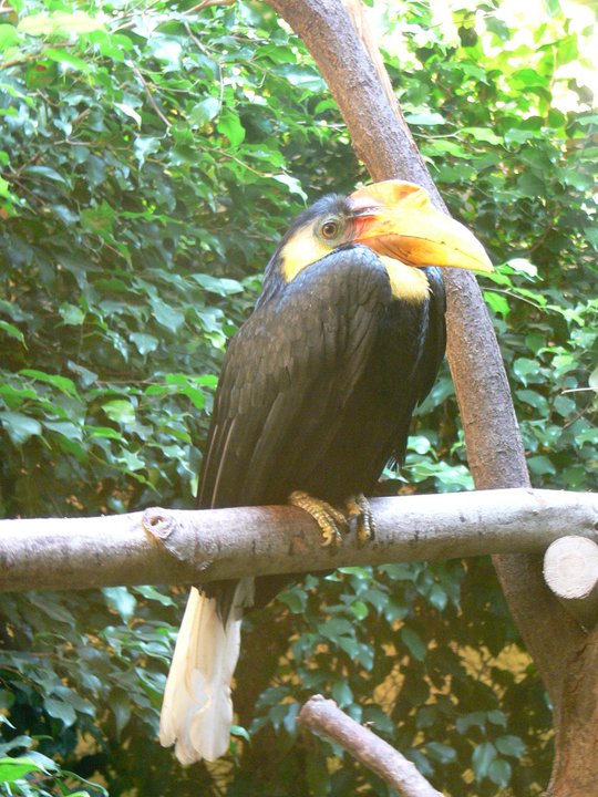 Bild 9 Zoologischer Garten in Dresden