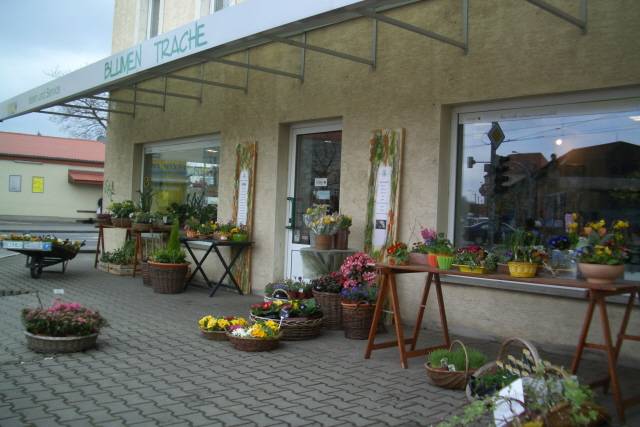 Bild 1 Blumen-Trache, Floristmeisterbetrieb e.K. in Dresden