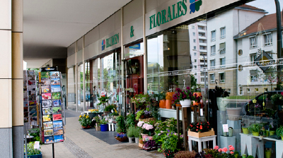 Bild 2 Blumen und Florales Zetzschke in Dresden