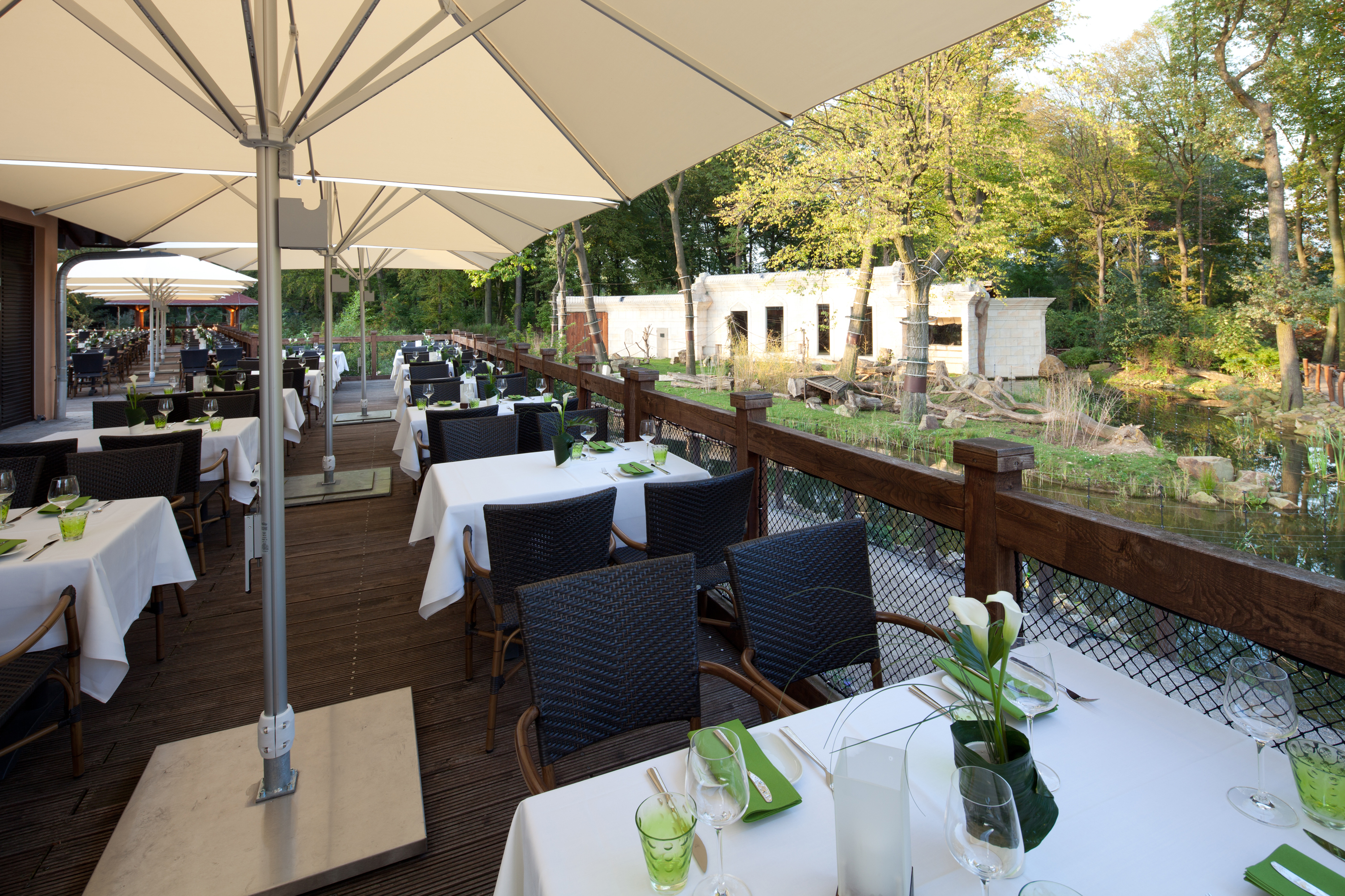 Terrasse mit Blick auf den Tempel