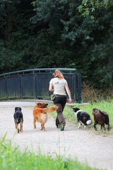 Logo von Hundetraining Paradogs - Yvonne Nawrat in Bremen