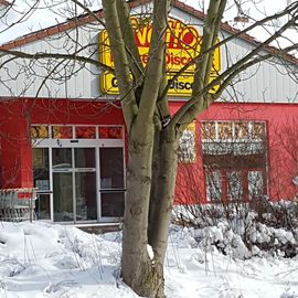 Pardon für den Baum... Der Kollege wollte partout nicht langsamer fahren 