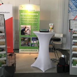 Immobilien Messe