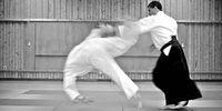 Nutzerfoto 4 Kyushindo Aikido Verein in Hannover Gemeinnütziger Sport-Verein