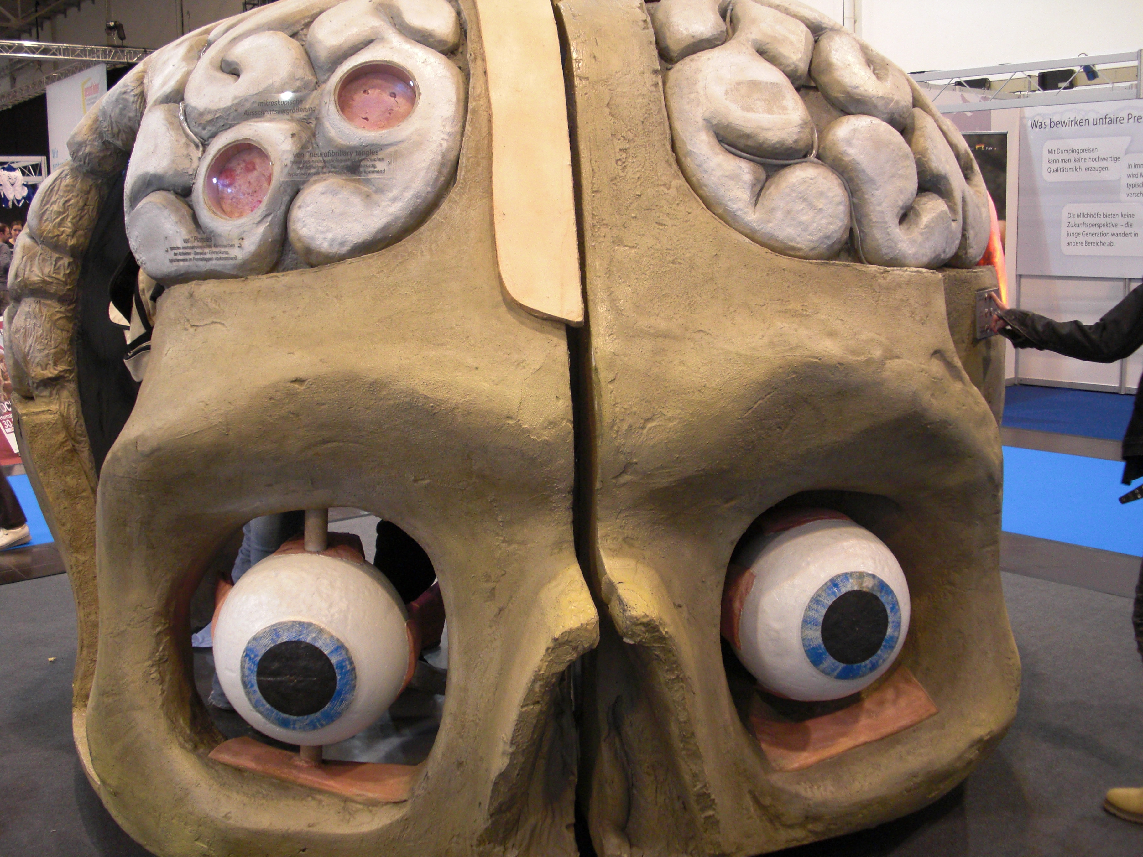 begehbares Gehirnmodell Messe Essen 2013