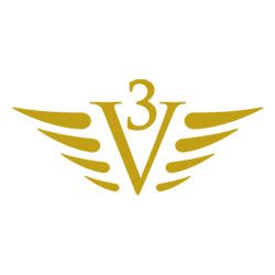 Logo VECTOR3 ohne Schriftzug