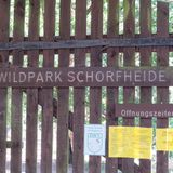 Wildpark Schorfheide gemeinnützige GmbH in Schorfheide