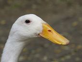 Nutzerbilder Zoo Eberswalde