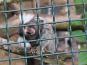 Nutzerbilder Zoo Eberswalde