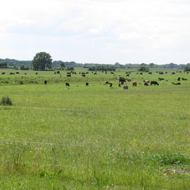 Gut Hesterberg in Lichtenberg Stadt Neuruppin