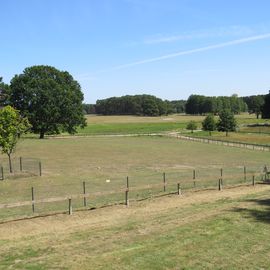 Wildpark Schorfheide gemeinnützige GmbH in Schorfheide