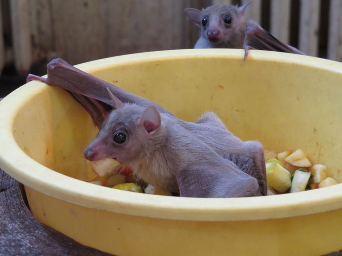 Nutzerbilder Zoo Eberswalde