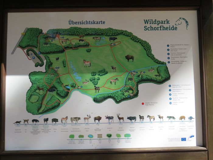 Nutzerbilder Wildpark Schorfheide gemeinnützige GmbH