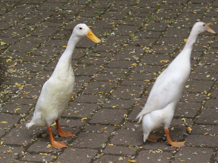 Nutzerbilder Zoo Eberswalde