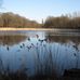 Volkspark Jungfernheide in Berlin